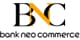 BSI Net
